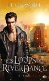 Les Loups de Riverdance, T5 : Sean (eBook, ePUB)