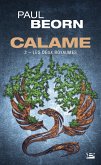 Calame, T2 : Les Deux Royaumes (eBook, ePUB)