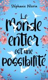 Le monde entier est une possibilité (eBook, ePUB)