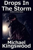 Drops In The Storm (eBook, ePUB)