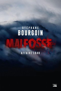 Malfosse (eBook, ePUB) - Bourgoin, Stéphane
