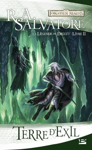 La Légende de Drizzt, T2 : Terre d'exil (eBook, ePUB)