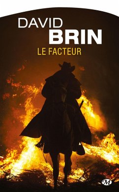 Le Facteur (eBook, ePUB) - Brin, David