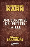 Les Chroniques de Karn : Une surprise de (petite) taille (eBook, ePUB) Les Chroniques de Karn : Une surprise de (petite) taille (eBook, ePUB)