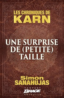 Cover Les Chroniques de Karn : Une surprise de (petite) taille (eBook, ePUB)