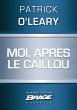 Moi, après le caillou (eBook, ePUB) - Bild 1