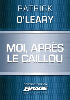 Cover Moi, après le caillou (eBook, ePUB)