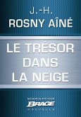 Le Trésor dans la neige (eBook, ePUB)