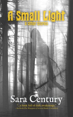 Cover A Small Light & Other Stories (eBook, ePUB)