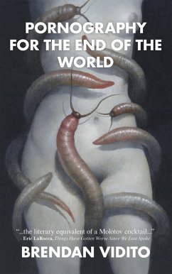 Cover Pornography for the End of the World (eBook, ePUB)
