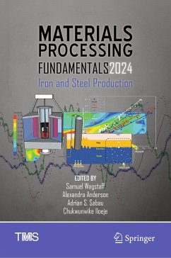 Materials Processing Fundamentals 2024 (eBook, PDF)