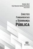 Direitos fundamentais e segurança pública (eBook, ePUB)