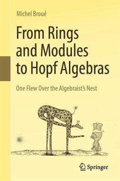 From Rings and Modules to Hopf Algebras (eBook, PDF) - Broué, Michel