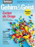 Gehirn&Geist 3/2024 Zucker als Droge (eBook, PDF)