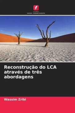 Reconstrução do LCA através de três abordagens - Zribi, Wassim