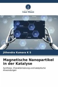 Magnetische Nanopartikel in der Katalyse - K S, Jithendra Kumara