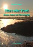 Fibro oder Fusel (eBook, ePUB)