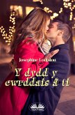 Y Dydd Y Cwrddais Â Ti (eBook, ePUB)