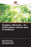 Zingiber officinale : Un antioxydant naturel pour le biodiesel