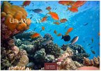 Unterwasserwelten 2025 L 35x50cm