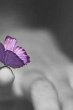 Thoughts at Midnight - From the Mind of... - Bild 1