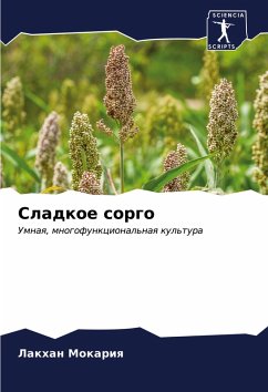 Cover Sladkoe sorgo