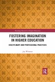 Fostering Imagination in Higher Education