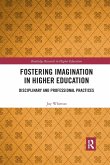 Fostering Imagination in Higher Education