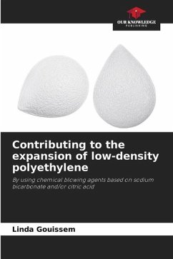 Contributing to the expansion of low-density polyethylene - Gouissem, Linda