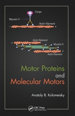 Motor Proteins and Molecular Motors - Kolomeisky, Anatoly B