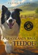 A Grasslands Walk With Teedoe - Bild 1