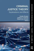 Criminal Justice Theory, Volume 26