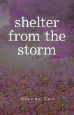 Shelter from the Storm