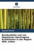 Bambusblüte und von Nagetieren übertragene Krankheiten in der Region NEH, Indien