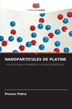 NANOPARTICULES DE PLATINE - Patra, Prasun