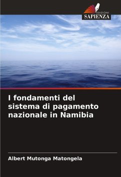 Cover I fondamenti del sistema di pagamento nazionale in Namibia