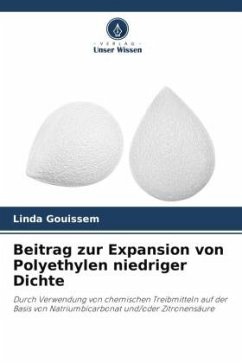 Beitrag zur Expansion von Polyethylen niedriger Dichte - Gouissem, Linda