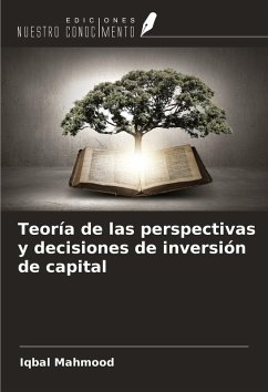 Cover Teoría de las perspectivas y decisiones de inversión de capital