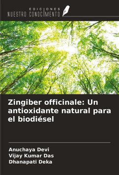 Zingiber officinale: Un antioxidante natural para el biodiésel Cover Zingiber officinale: Un antioxidante natural para el biodiésel