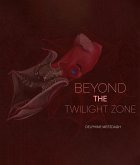 Beyond the Twilightzone (eBook, ePUB)