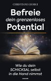 Befreie dein grenzenloses Potential (eBook, ePUB)