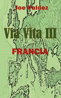 Via Vita III (eBook, ePUB) - Valdez, Joe