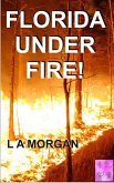 Florida Under Fire! Screenplay (eBook, ePUB)