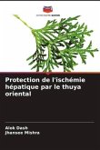 Protection de l'ischémie hépatique par le thuya oriental