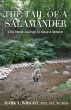 The Tail of the Salamander - Bild 1