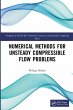 Numerical Methods for Unsteady... - Bild 1