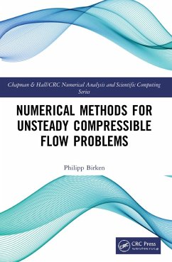 Numerical Methods for Unsteady Compressible Flow Problems - Birken, Philipp