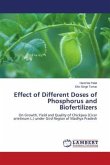 Effect of Different Doses of Phosphorus and Biofertilizers