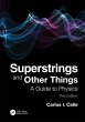 Superstrings and Other Things - Bild 1
