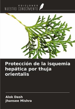 Cover Protección de la isquemia hepática por thuja orientalis